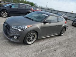 2013 Hyundai Veloster Turbo for sale in Lawrenceburg, KY