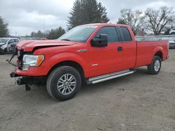 Ford salvage cars for sale: 2013 Ford F150 Super Cab