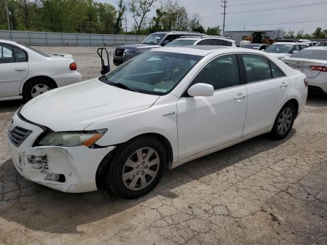 2009 Toyota Camry Hybrid