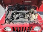 1999 Jeep Wrangler / TJ Sport