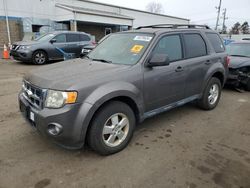 Ford salvage cars for sale: 2012 Ford Escape XLT