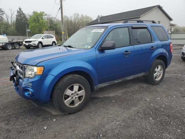 2011 Ford Escape XLT