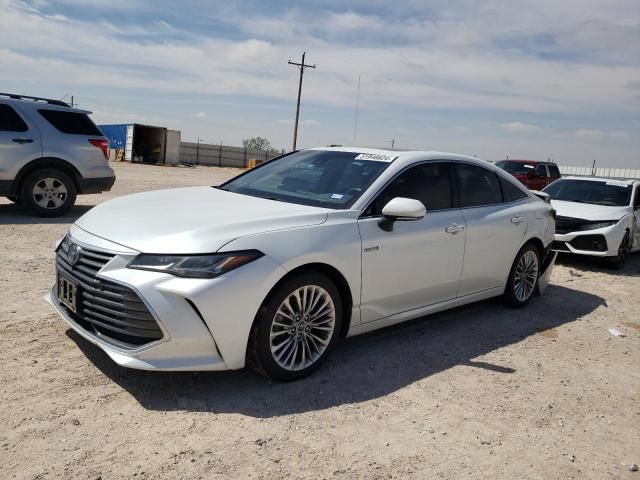 2019 Toyota Avalon XLE