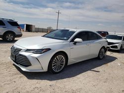 Salvage cars for sale from Copart Andrews, TX: 2019 Toyota Avalon XLE
