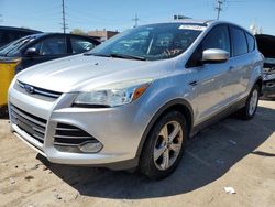 Ford Escape se salvage cars for sale: 2015 Ford Escape SE