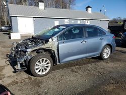 Toyota Corolla le salvage cars for sale: 2020 Toyota Corolla LE