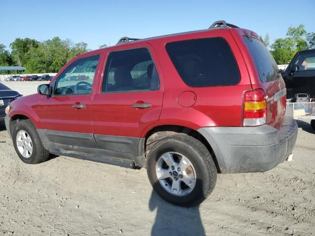 2005 Ford Escape XLT