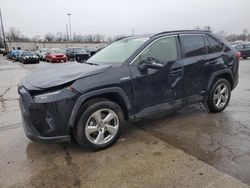 Toyota salvage cars for sale: 2021 Toyota Rav4 XLE Premium