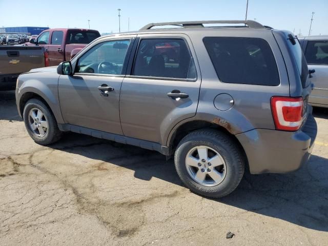 2011 Ford Escape XLT