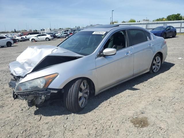 2010 Honda Accord EXL