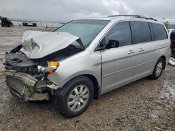 Honda salvage cars for sale: 2008 Honda Odyssey EXL