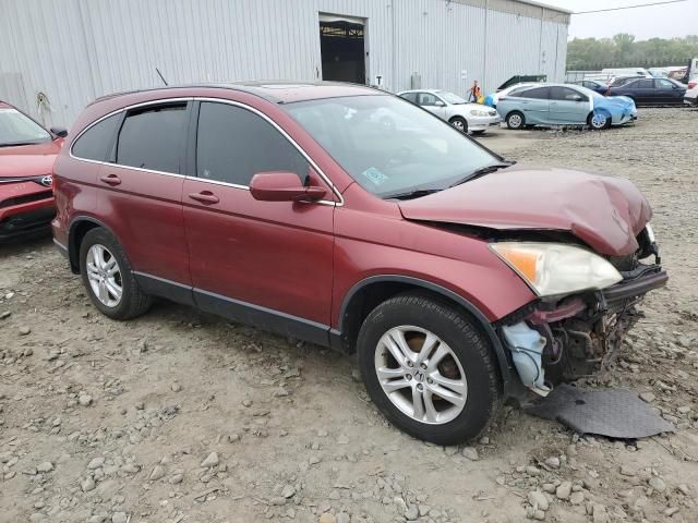 2010 Honda CR-V EXL