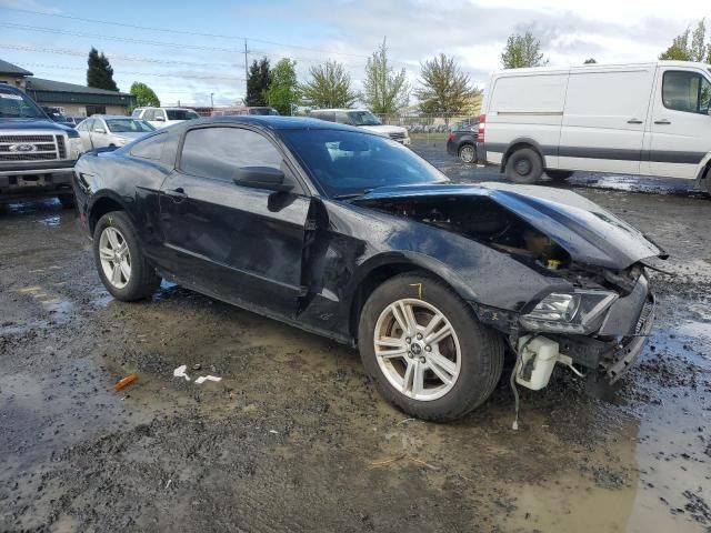 2013 Ford Mustang