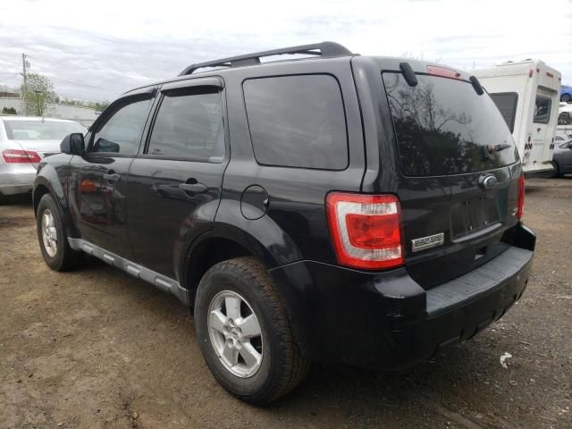 2010 Ford Escape XLT