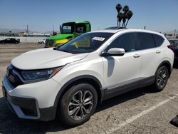 2020 Honda CR-V EX for sale in Van Nuys, CA