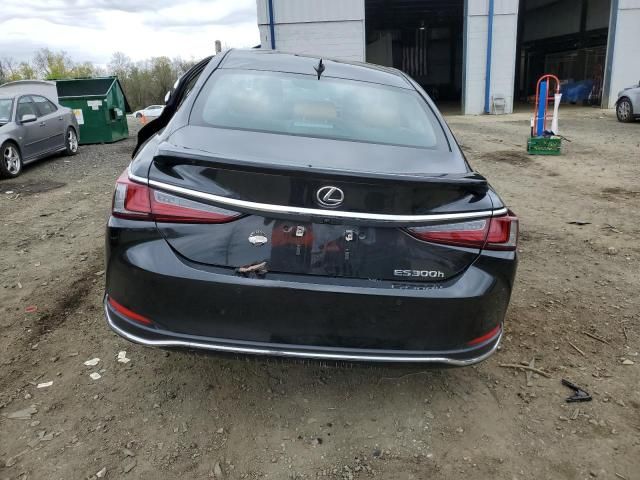 2024 Lexus ES 300H Base