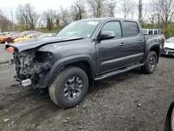 2023 Toyota Tacoma Double Cab for sale in Marlboro, NY