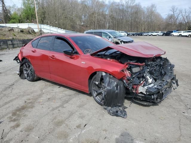 2023 Acura TLX Type S