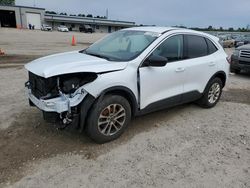 Ford Escape SE salvage cars for sale: 2022 Ford Escape SE