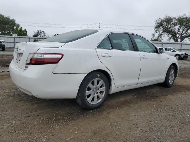 2008 Toyota Camry Hybrid