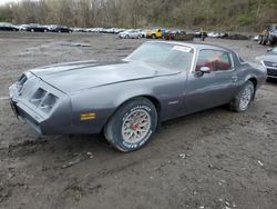 Pontiac Vehiculos salvage en venta: 1981 Pontiac Firebird