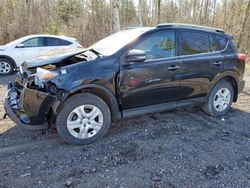 Toyota salvage cars for sale: 2015 Toyota Rav4 LE