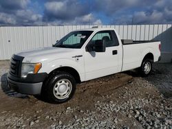 2010 Ford F150 en venta en Louisville, KY