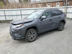 2024 Toyota Rav4 XLE Premium en venta en Albany, NY