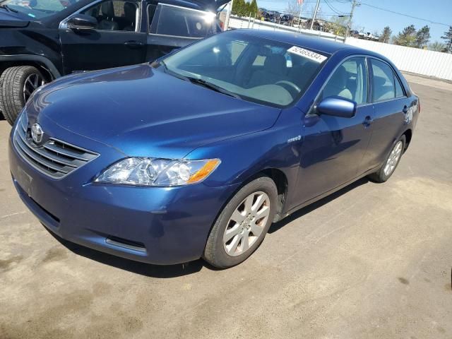 2009 Toyota Camry Hybrid