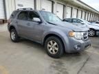 2008 Ford Escape Limited