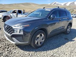 Hyundai Santa fe salvage cars for sale: 2023 Hyundai Santa FE SEL