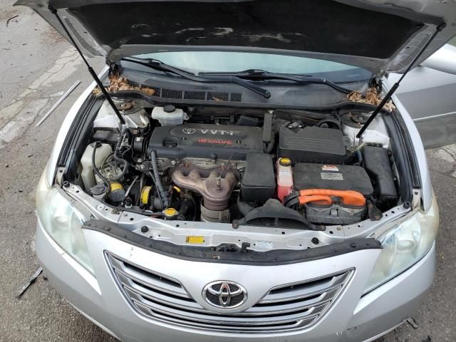 2009 Toyota Camry Hybrid