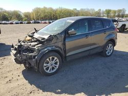 Ford Escape Vehiculos salvage en venta: 2019 Ford Escape SE