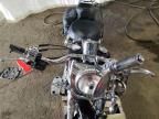 2005 Harley-Davidson Flstci