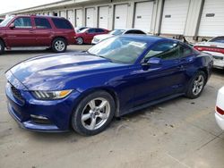 2015 Ford Mustang for sale in Louisville, KY