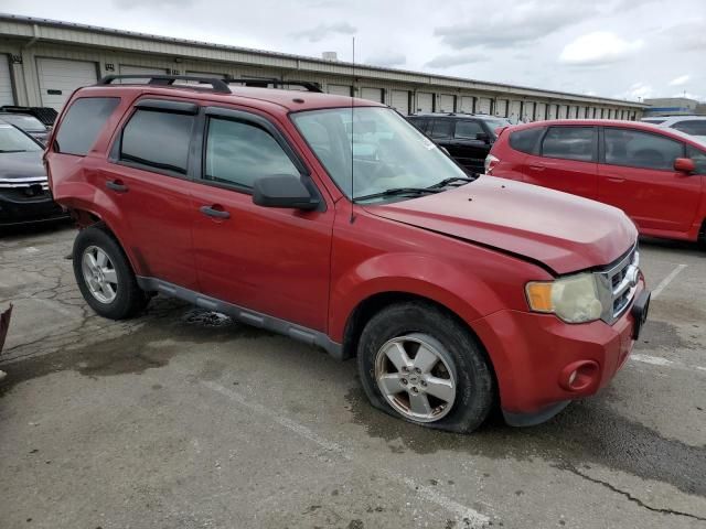 2010 Ford Escape XLT