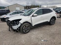 2020 Ford Escape SEL for sale in Lawrenceburg, KY