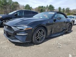 2019 Ford Mustang for sale in Mendon, MA