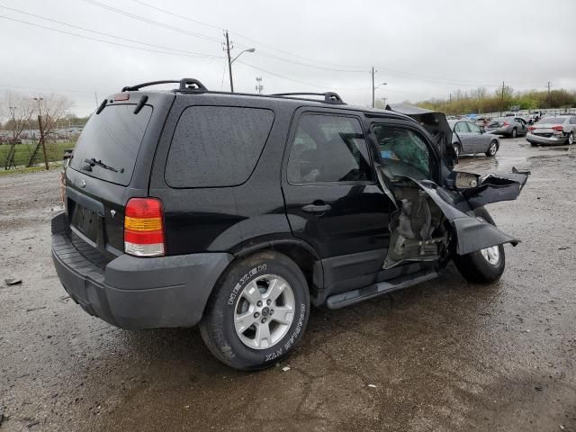 2007 Ford Escape XLT