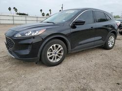 2021 Ford Escape SE en venta en Mercedes, TX