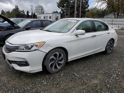 Honda Accord salvage cars for sale: 2016 Honda Accord EX