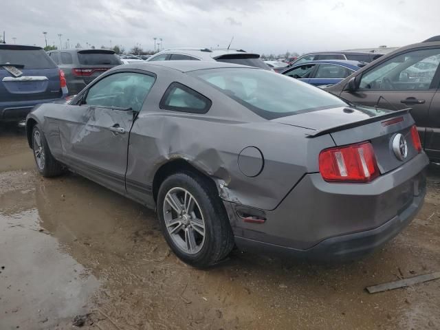 2010 Ford Mustang