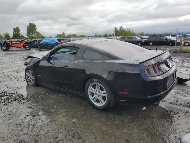 2013 Ford Mustang