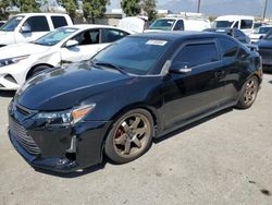 Scion TC salvage cars for sale: 2015 Scion TC