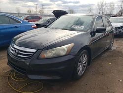 2011 Honda Accord EXL en venta en Elgin, IL