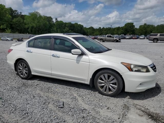 2011 Honda Accord EXL