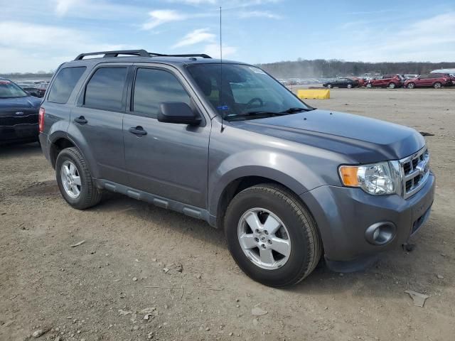 2011 Ford Escape XLT