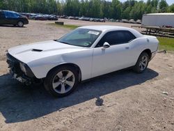 Salvage cars for sale from Copart Charles City, VA: 2019 Dodge Challenger SXT