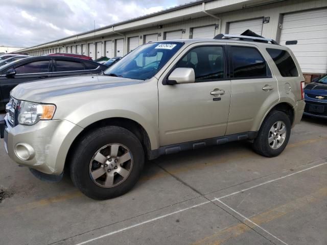 2011 Ford Escape Limited