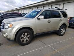 2011 Ford Escape Limited for sale in Louisville, KY